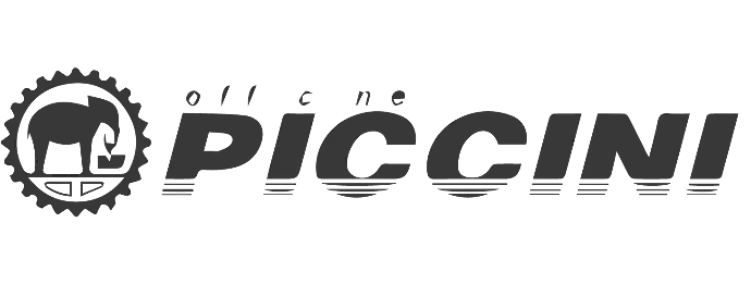 Socio Comercial Piccini
