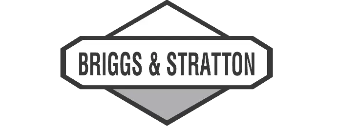 Socio Comercial Briggs & Stratton